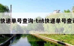 tnt快递单号查询-tnt快递单号查询电话