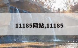 11185网站,11185